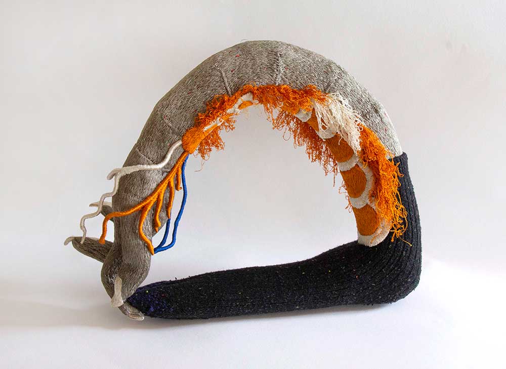 Dokkaebi, Moulting | 2022 | Materials: Viscose thread, an old sock, wire | Techniques: Embroidery | Image: Woo Jin Joo